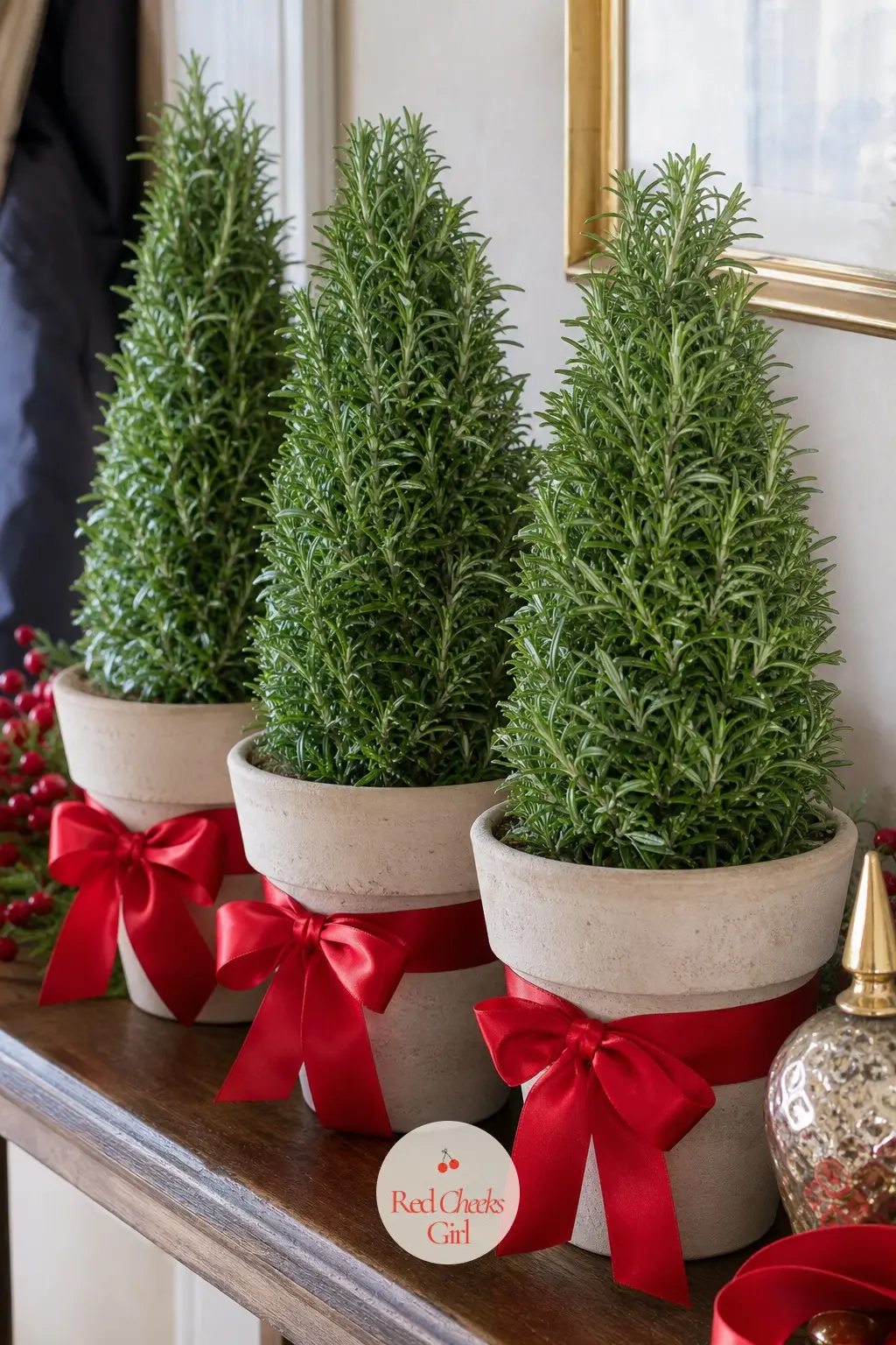 A Row of Potted Rosemary Topiaries Tied With Red Ribbon — Rosemary trimmed into a cone shape already looks like a miniature tree, and it survives an apartment