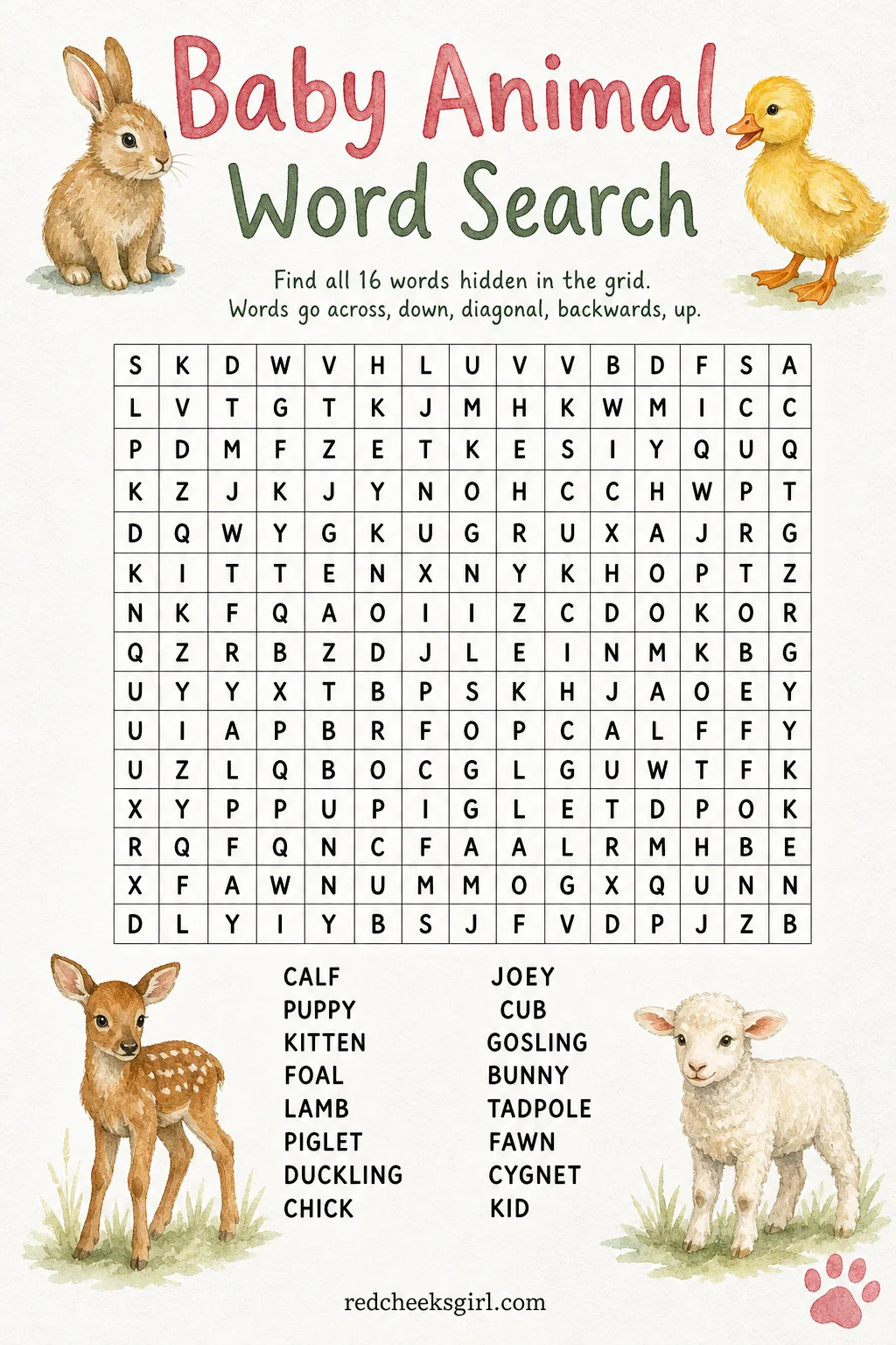 Baby Animal Word Search printable sheet — Sixteen baby animal names are hidden in the grid, running up, down, sideways and backward, and the child circles each