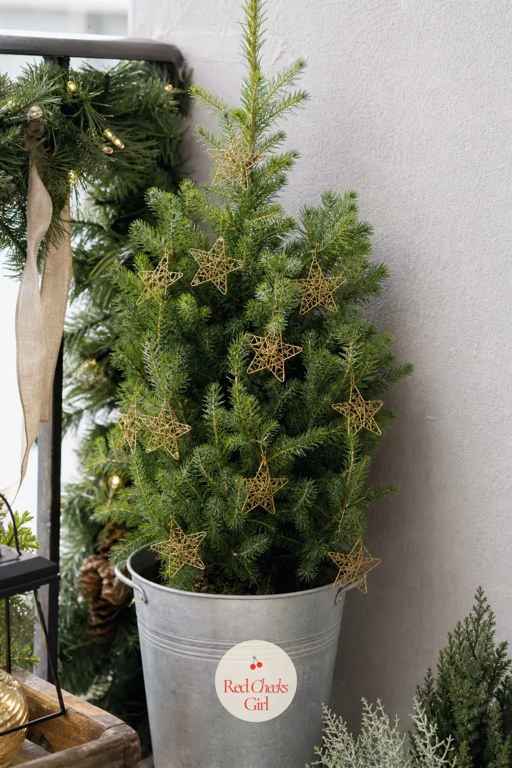 A Slim Potted Spruce in a Galvanized Zinc Bucket, Dressed in Gold Wire Stars — A slim pencil shaped tree takes up the footprint of a dustbin and gives a corner