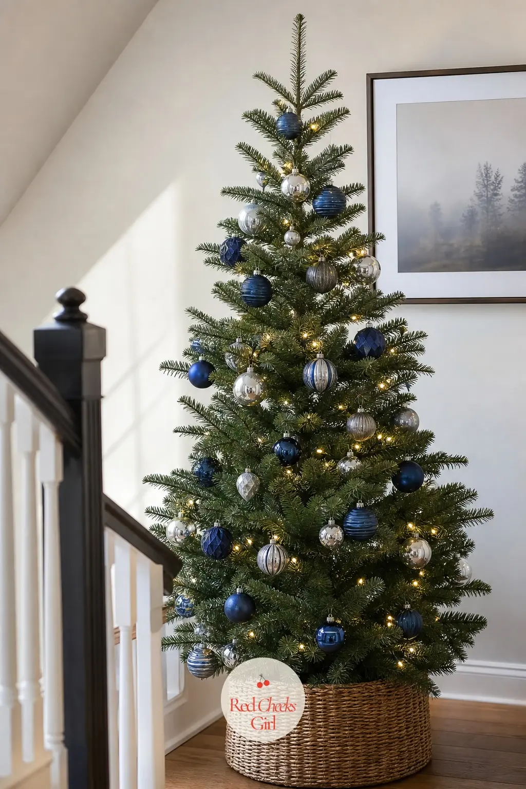 An Indigo Fraser Fir on the Stair Landing — A real, naturally slim Fraser fir standing on the landing at the top of the stairs, where floor space is tight but