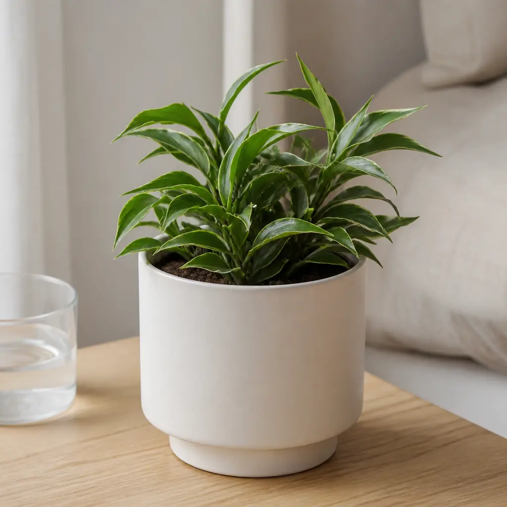 Desk Plant Pot — A small ceramic pot with a low maintenance plant already settled inside brings a bit of life to a beige cubicle. Cheap christmas gift ideas
