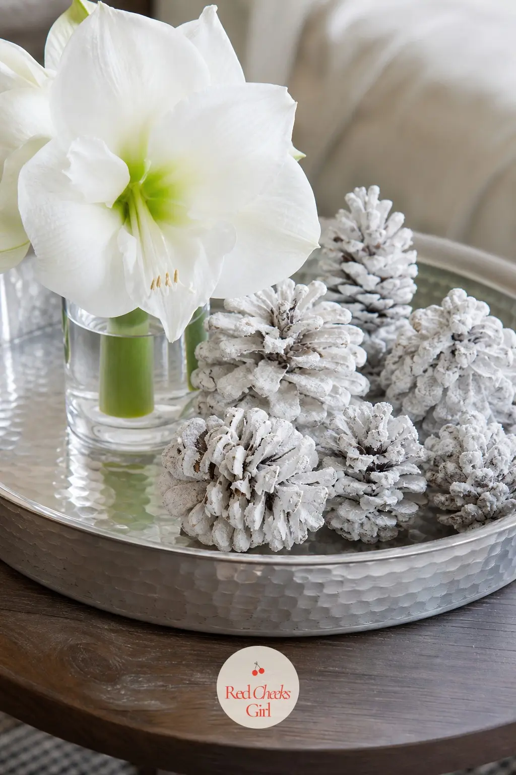 A Hammered Pewter Tray Holding White Amaryllis and Frosted Pinecones — A shallow pewter tray in brushed silver anchors a single stem of white amaryllis in a