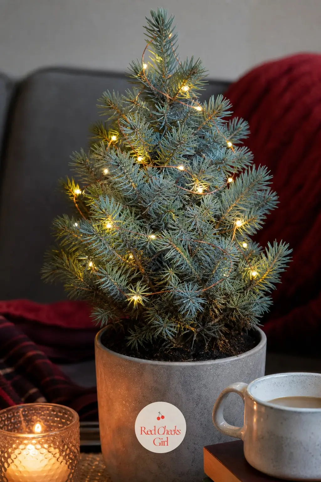 A Single Blue Spruce Tabletop Tree Strung With Copper Wire Lights — A single potted blue spruce, roughly knee height, sits wrapped in a thin strand of warm