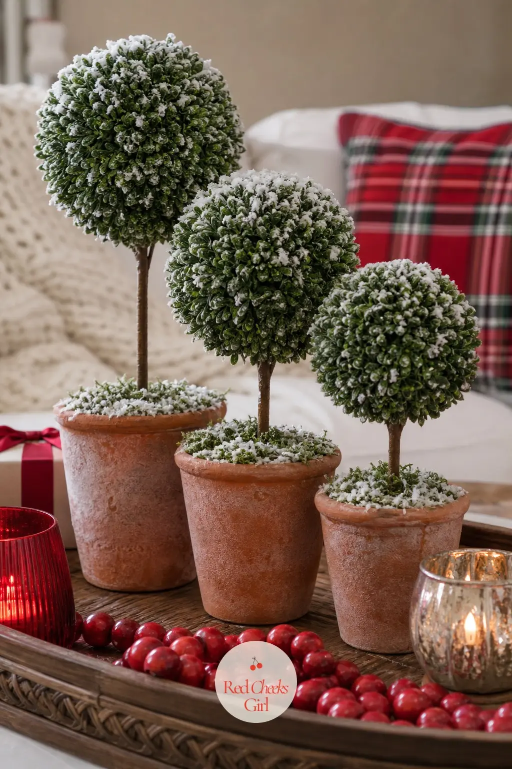 A Trio of Miniature Boxwood Topiaries in Terracotta Pots — Three small boxwood topiaries, each in its own terracotta pot, line up at graduated heights with a