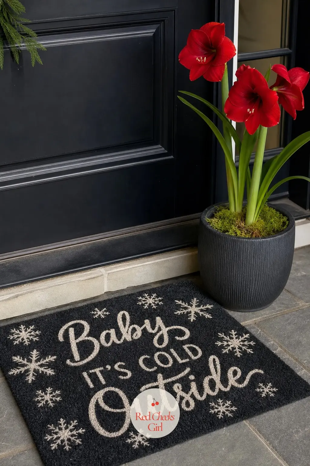 A Winter Doormat Paired With a Potted Red Amaryllis — A charcoal and cream doormat sits below the door, one red amaryllis in a matching charcoal ceramic pot