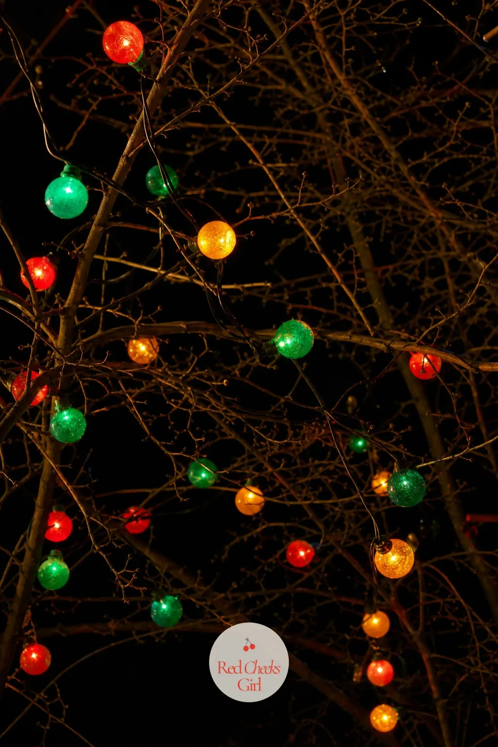 Multicolor Globe Lights Strung Through the Branches — Fine mini lights disappear into a tree from a distance. Christmas lights on house exterior