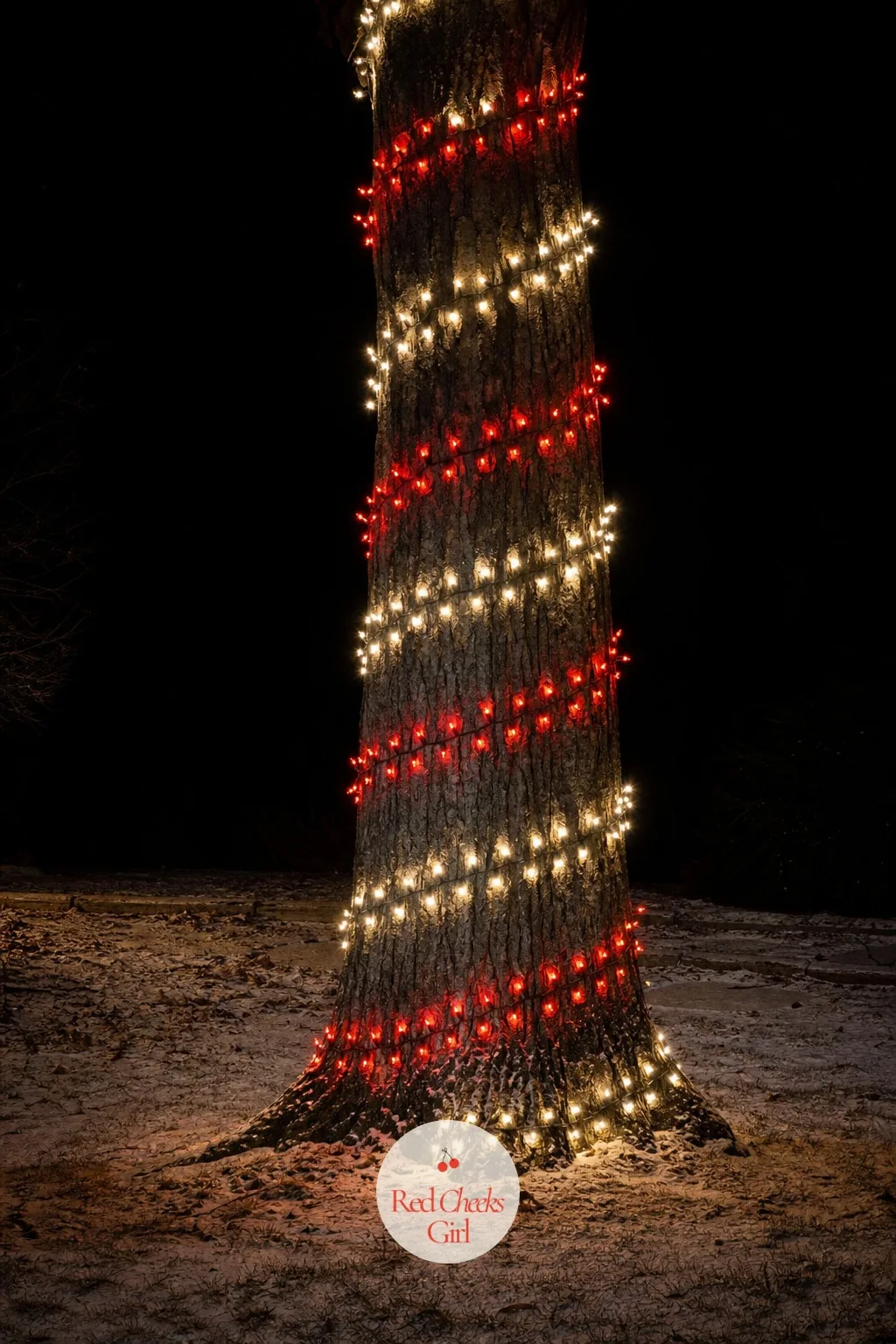 Candy-Cane Spiral Trunk — A single colour of lights plays it safe, and some years safe isn't the mood you're after. Christmas lights outdoor trees
