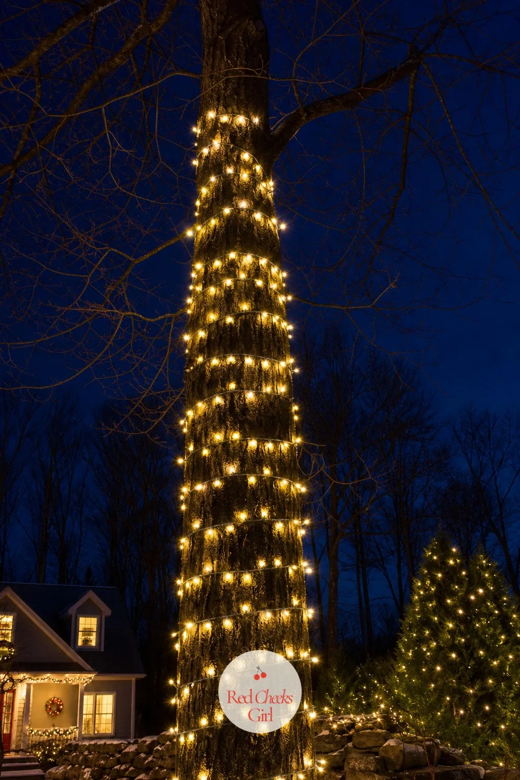 Spiral-Wrapped Warm White Trunk — A naked trunk in November looks like it's waiting for permission. Christmas lights outdoor trees