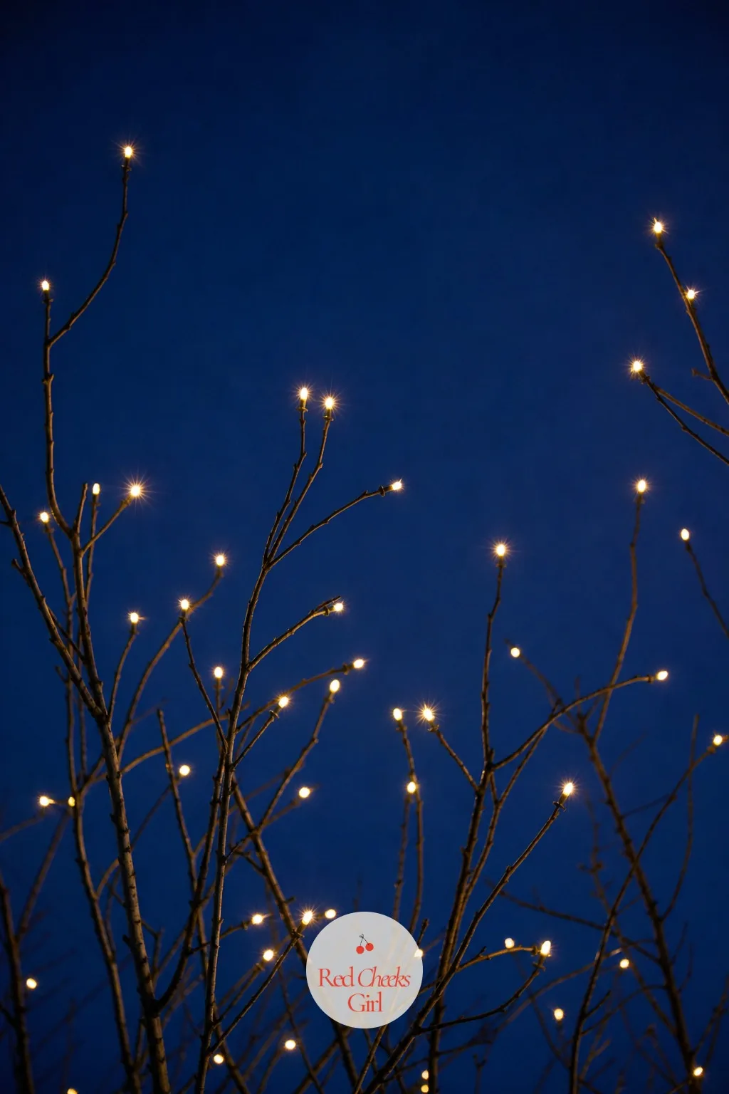 Starlit Twig Ends — A fully wrapped tree can look busy, almost shouty, and sometimes bare winter branches actually want restraint instead. Christmas lights