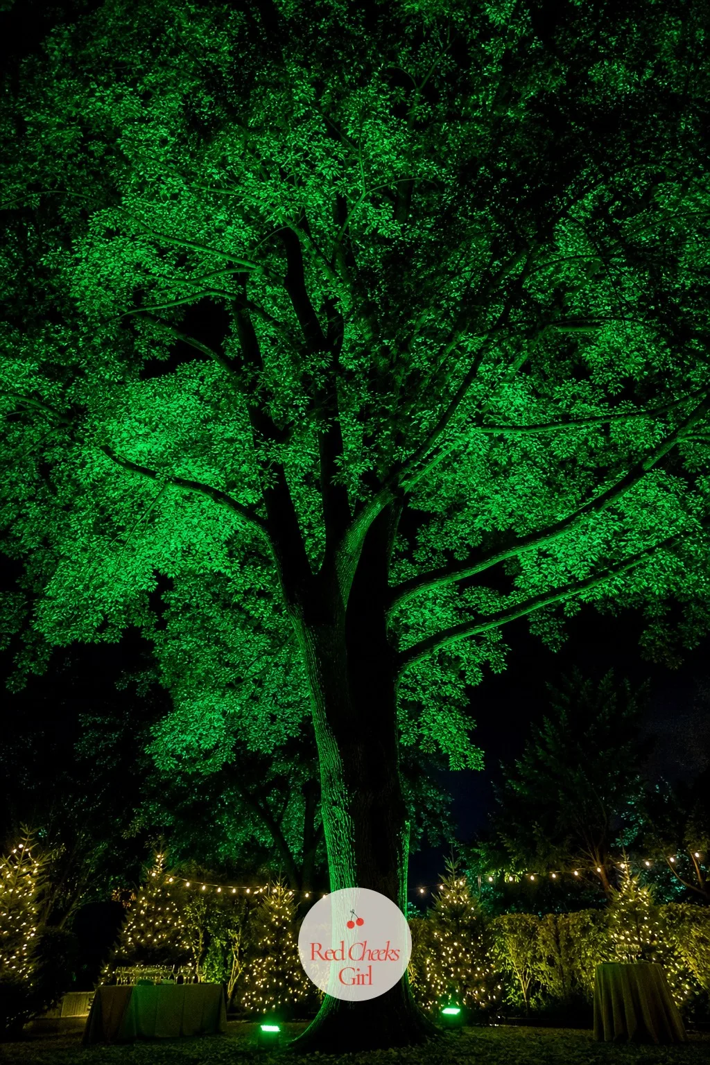 Uplit Emerald Canopy — For a mature tree with a canopy twenty feet up, climbing into it with a light string isn't realistic, and it isn't safe either.