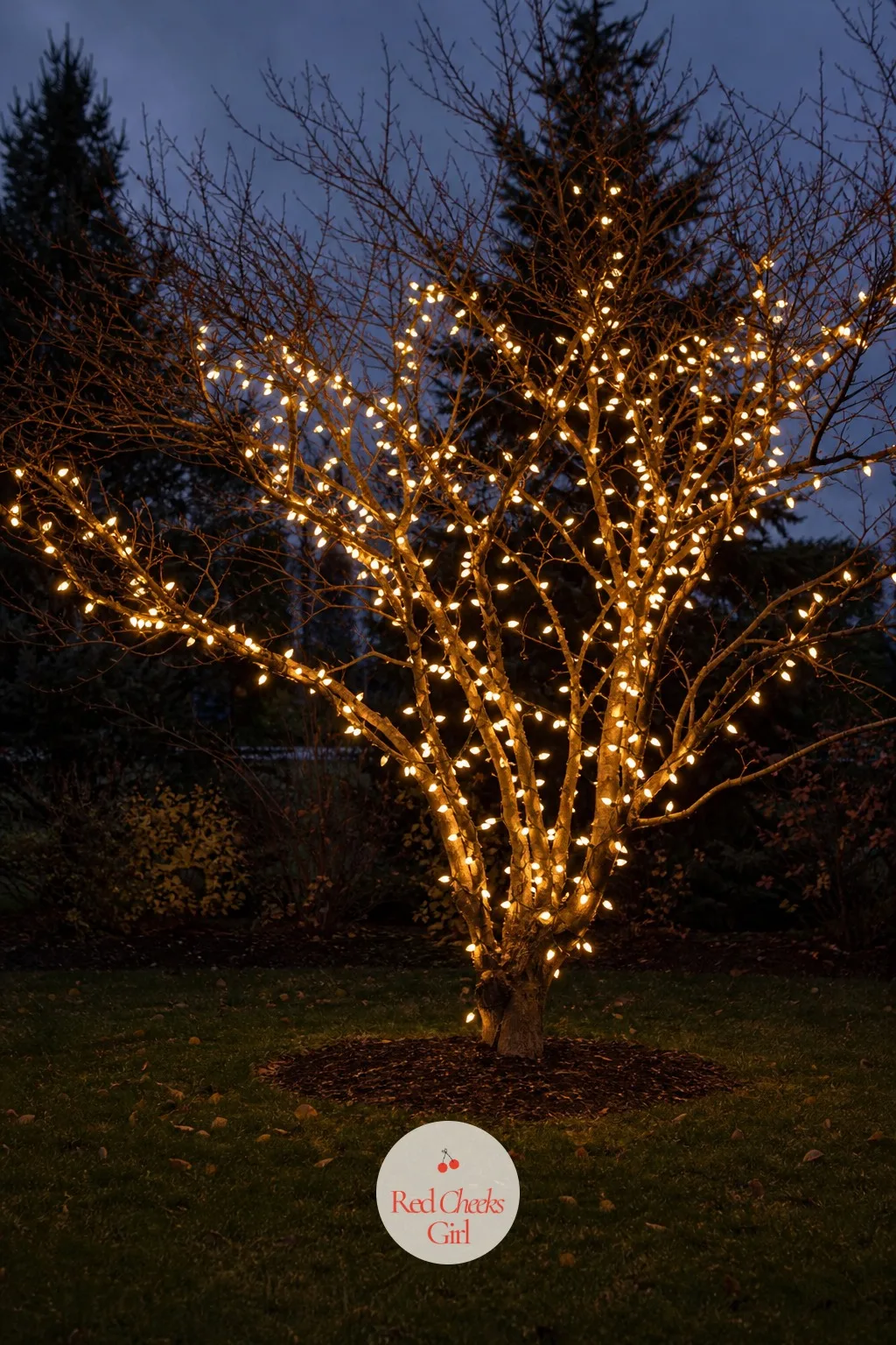 Warm White C9 Wrapped Around Bare Tree Branches — A leafless tree in the front yard looks a little sad through winter, standing there doing nothing. Classy