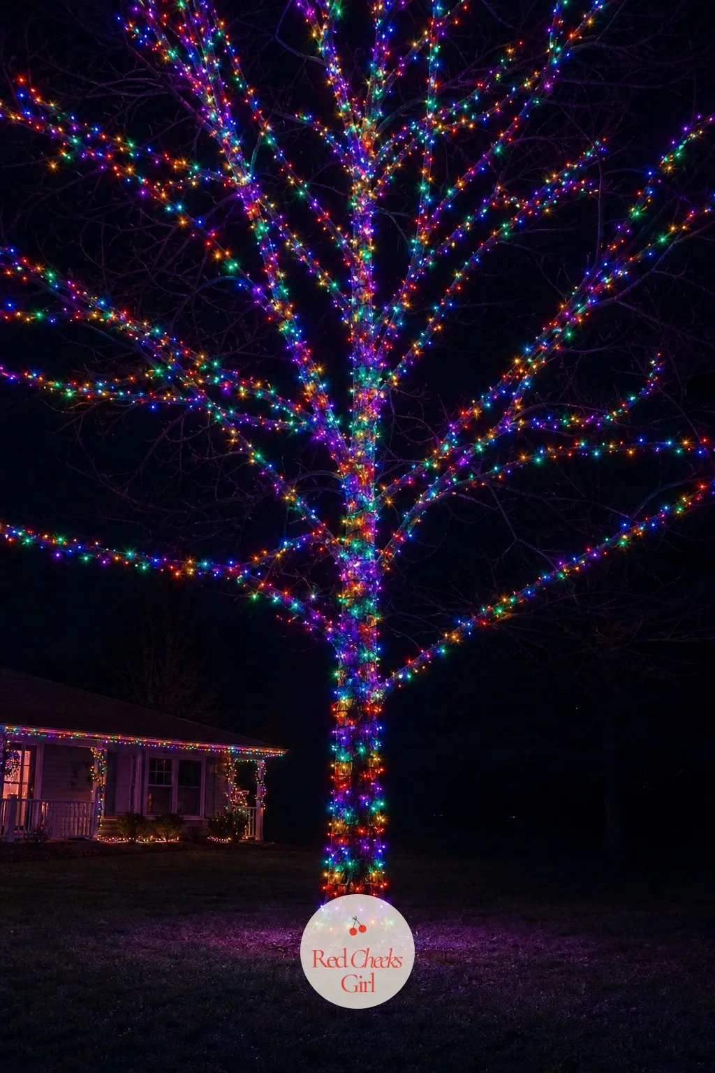 Rainbow Mini Lights Wrapped Trunk to Crown on the Yard Tree — This is the tree every kid on the block points at from the back seat. Colored christmas lights on