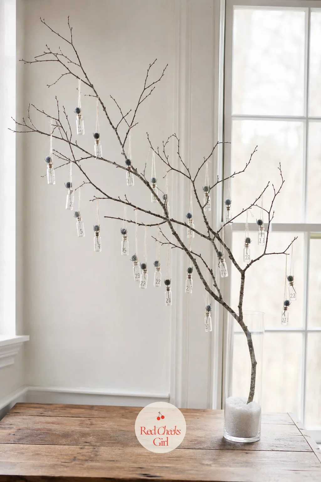 Birch Branch Vial Countdown — A single bare branch standing in a tall vase does more for a living room corner than most garlands manage. Diy advent calendar