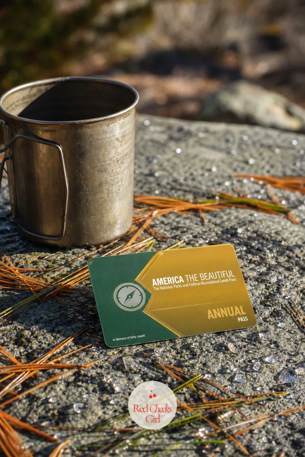 America the Beautiful National Parks Pass — For the parent who plans vacations around a trunk and a cooler. Experience gift ideas
