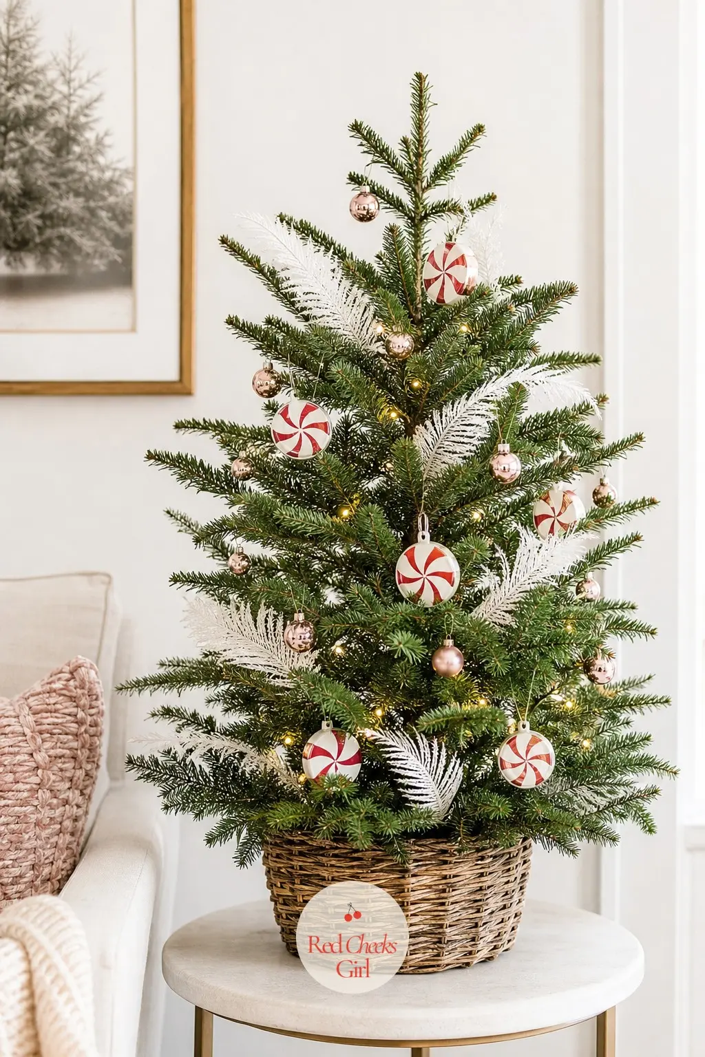 The Petite Peppermint on the Side Table — A real dwarf Alberta spruce, small and potted, standing in for the usual oversized peppermint tree. Gingerbread