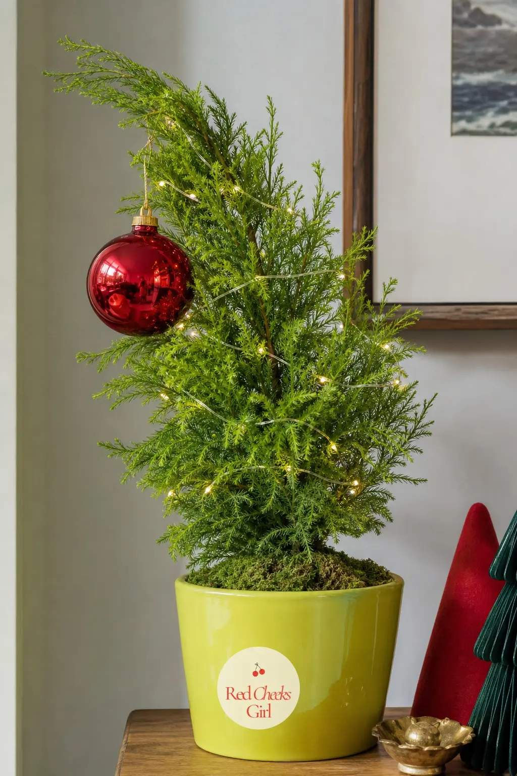 A Mini Lemon Cypress Planted on the Lean — A real potted lemon cypress, small enough for a console or side table, planted off-centre in its pot so the whole