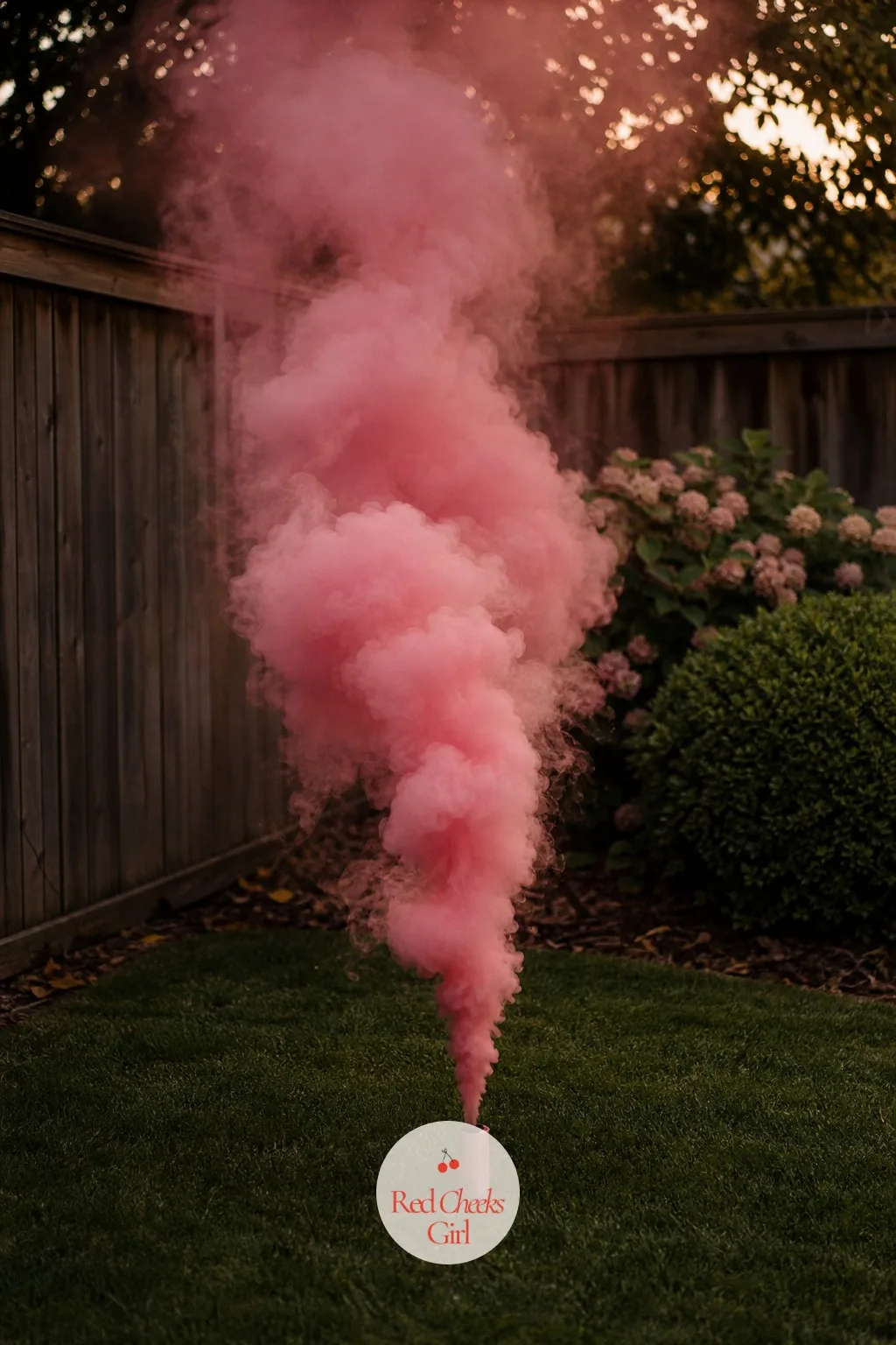 A Single Smoke Grenade In The Backyard — One handheld smoke canister, pink or blue, pulled in a quiet corner of the yard where nobody needs to see it but the