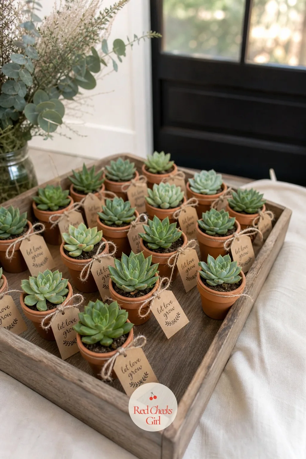 Terracotta Succulent Favor — A favor that keeps growing after the party ends tends to get used, unlike most things handed out at the door. Neutral gender