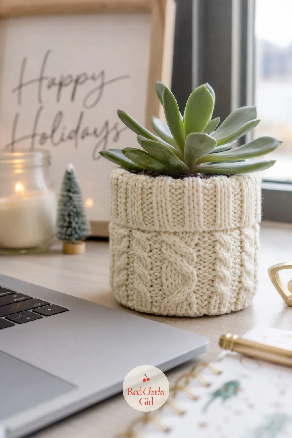 Desk Plant in a Knit Sweater — The little succulent or pothos already living on the desk all year gets pulled into the season with almost no effort: a small