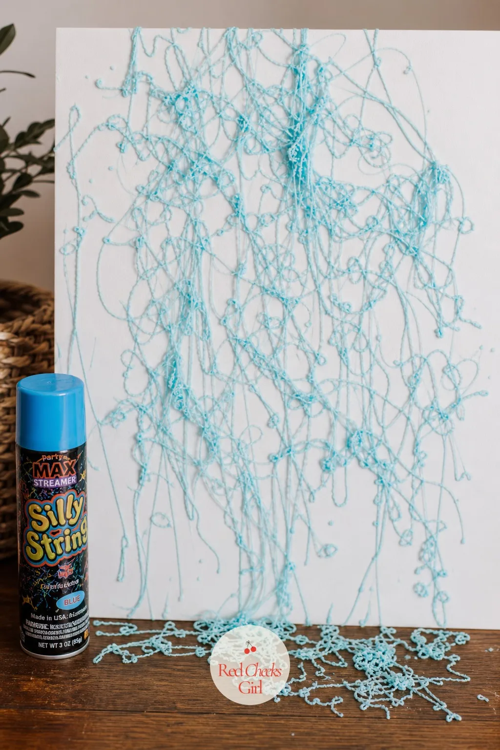 The Silly String Spray — One can, one squeeze, and a plain white board turns into a tangle of colour in about three seconds flat. Sibling gender reveal ideas
