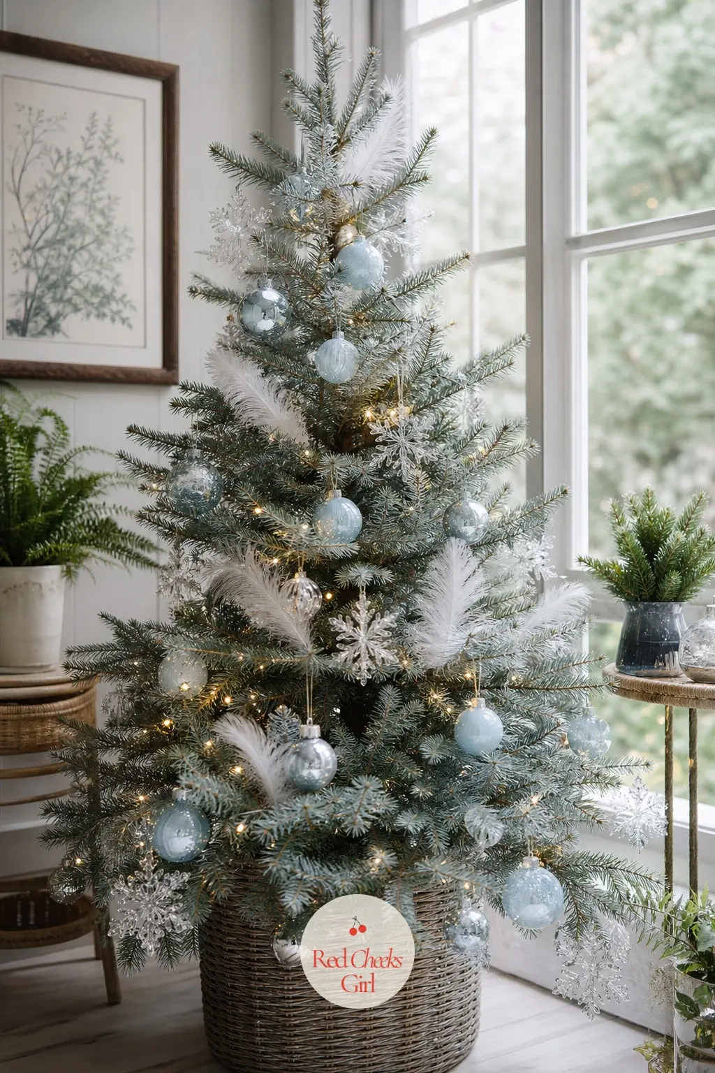 A Slim Blue Spruce Dressed for Winter — A living potted blue spruce, its natural blue-grey needles doing half the styling before a single ornament goes on.