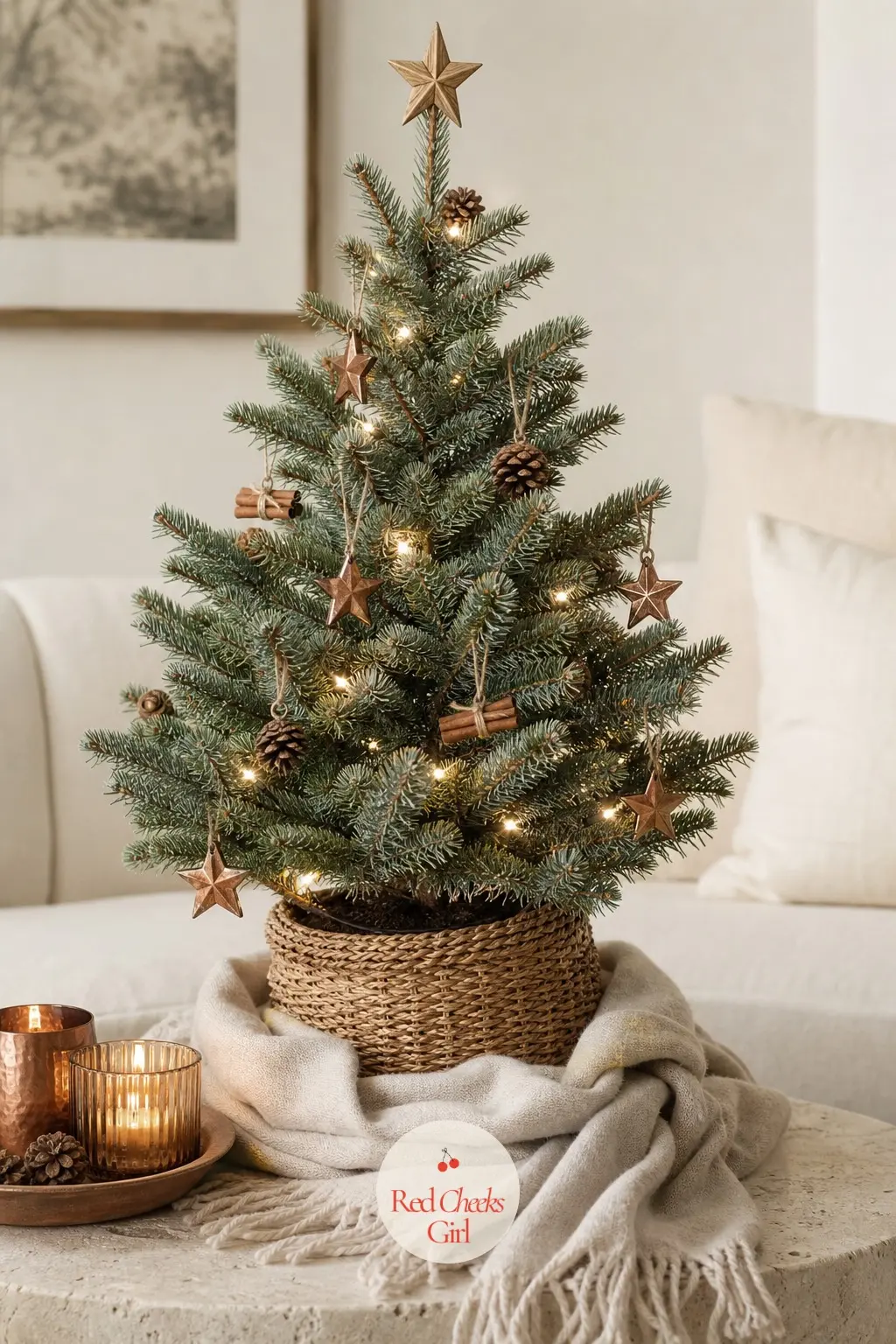 A Live Blue Spruce on the Travertine Table — A real, small potted blue spruce sits low on a stone table rather than the floor, its blue-grey tone already doing