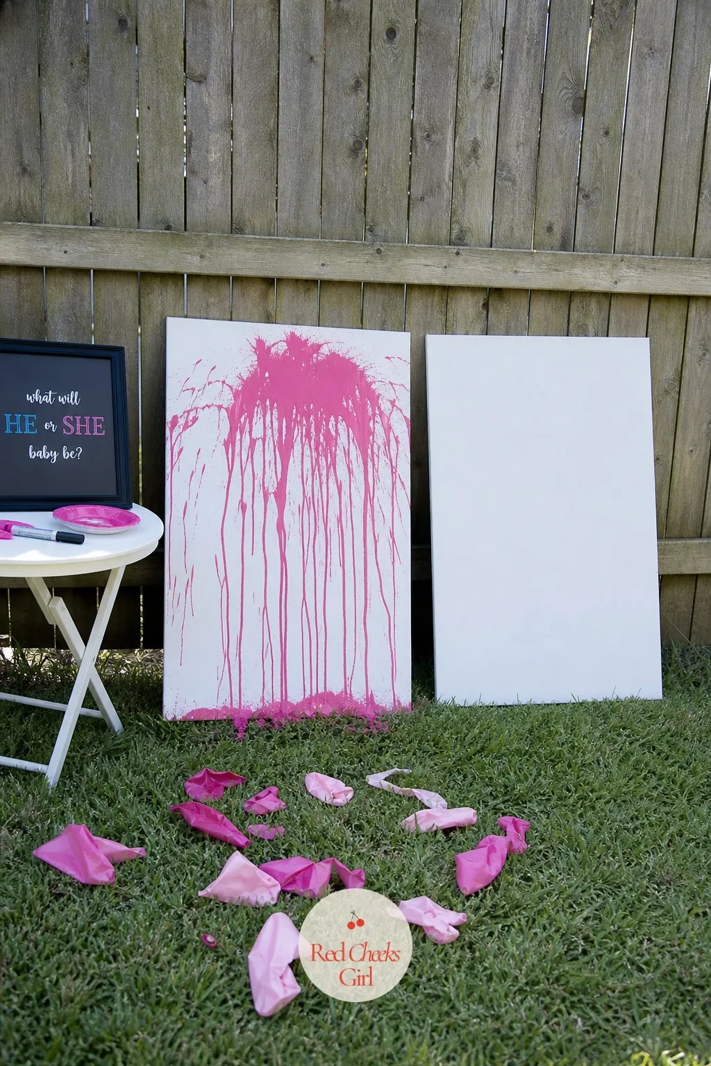 Paint-Splash Canvas Reveal — Two blank canvases lean side by side against the fence, waiting for one balloon each, thrown rather than aimed, to decide which