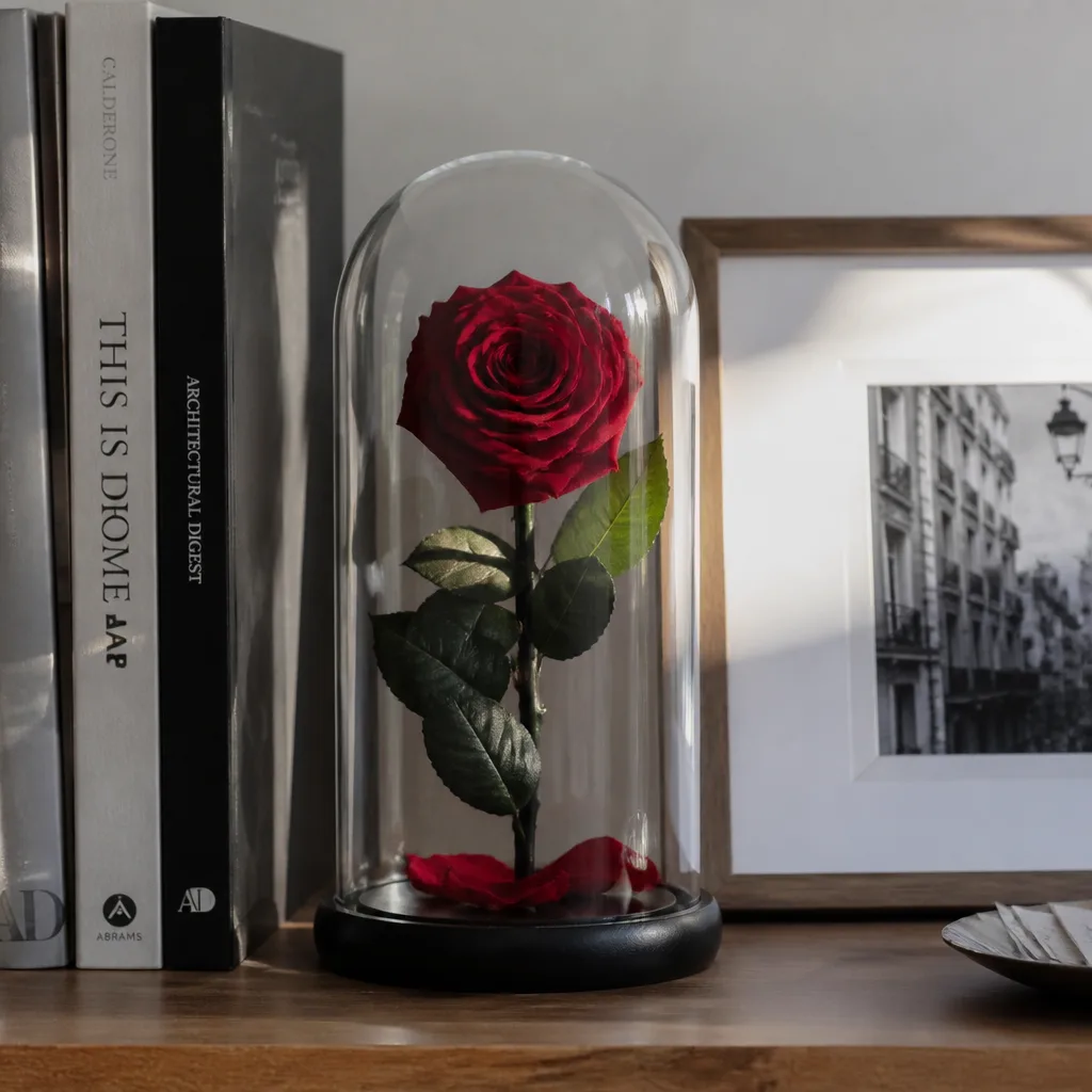Preserved Rose Dome — A single real rose, preserved and sealed inside a glass dome so it never wilts or needs water. Valentine gifts for girlfriend