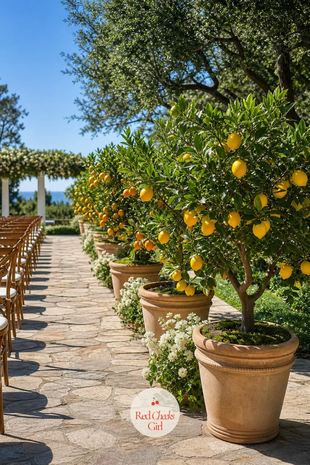 Citrus Pots For Summer — A summer ceremony in full sun can make fresh flowers wilt before the vows are even finished, which is why citrus trees earn their