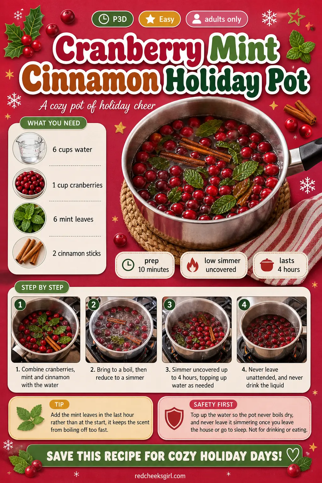 Cranberry Mint Cinnamon Holiday Pot Craft Card printable sheet. Winter simmer pot recipes